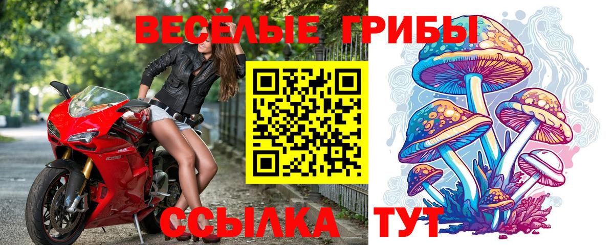 Альфа ПВП Будённовск
