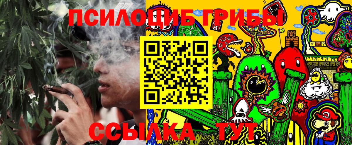 Будённовск  Галлюциногенные грибы Psilocybe  Вход с VPN 