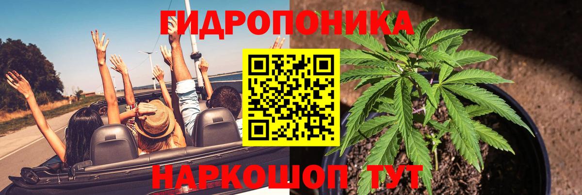 Бошки Шишки гибрид Будённовск